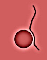 tn_Winkler_M_Ancient Art & Modern Language Draft[4-24-10]_1_0001.jpg